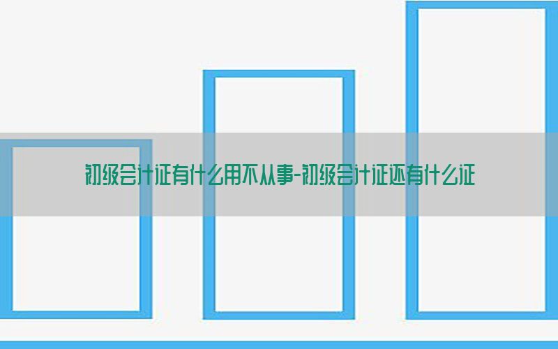 初级会计证有什么用不从事-初级会计证还有什么证