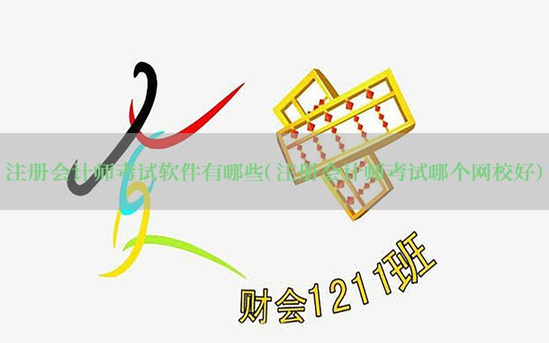 注册会计师考试软件有哪些（注册会计师考试哪个网校好）