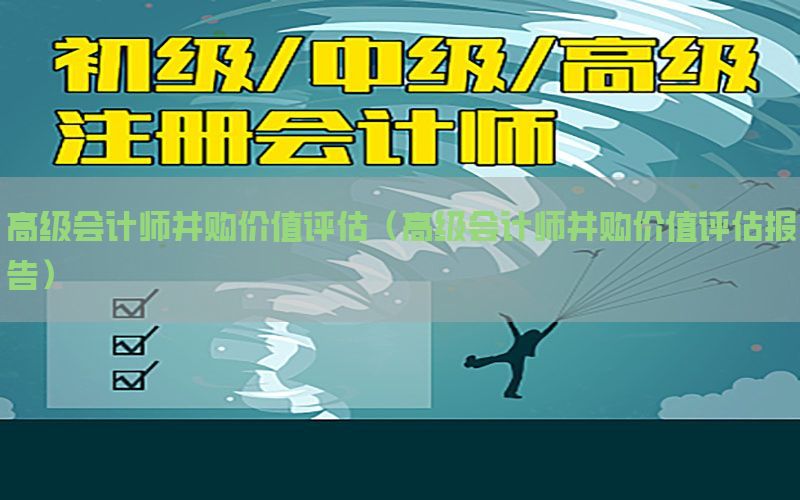 高级会计师并购价值评估（高级会计师并购价值评估报告）