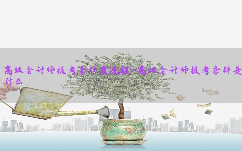 高级会计师报考条件及流程-高级会计师报考条件是什么