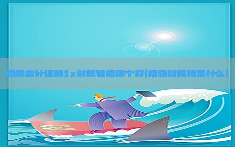初级会计证和1x财税智能哪个好（初级财税师是什么）