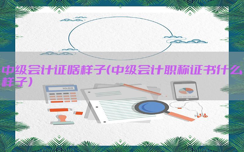 中级会计证啥样子（中级会计职称证书什么样子）