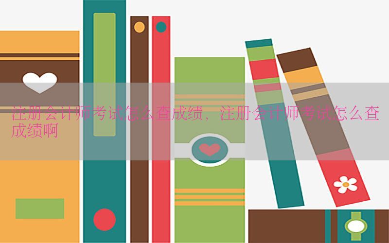 注册会计师考试怎么查成绩，注册会计师考试怎么查成绩啊