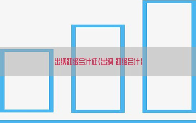 出纳初级会计证（出纳 初级会计）