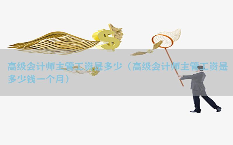 高级会计师主管工资是多少（高级会计师主管工资是多少钱一个月）