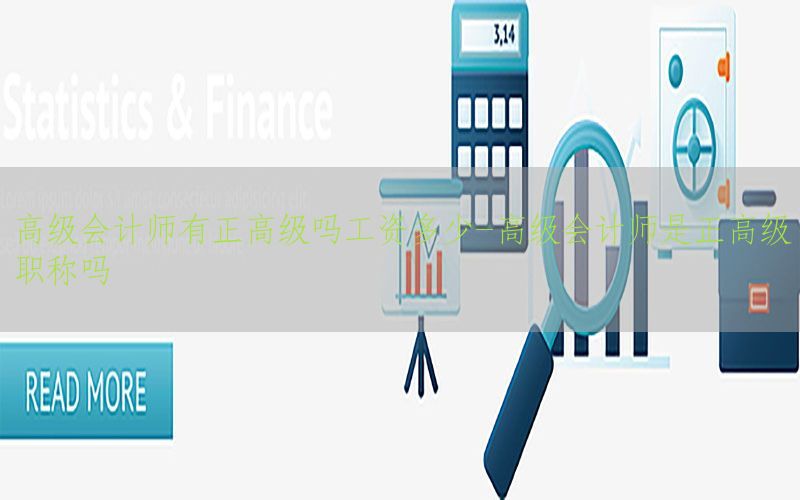 高级会计师有正高级吗工资多少-高级会计师是正高级职称吗