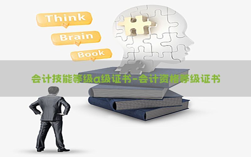 会计技能等级a级证书-会计资格等级证书