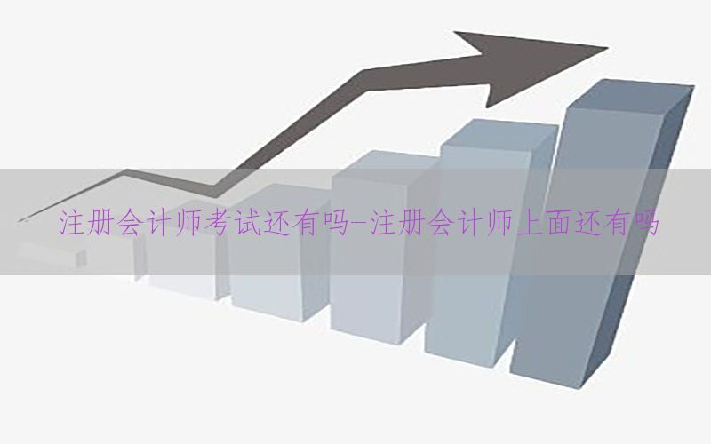 注册会计师考试还有吗-注册会计师上面还有吗