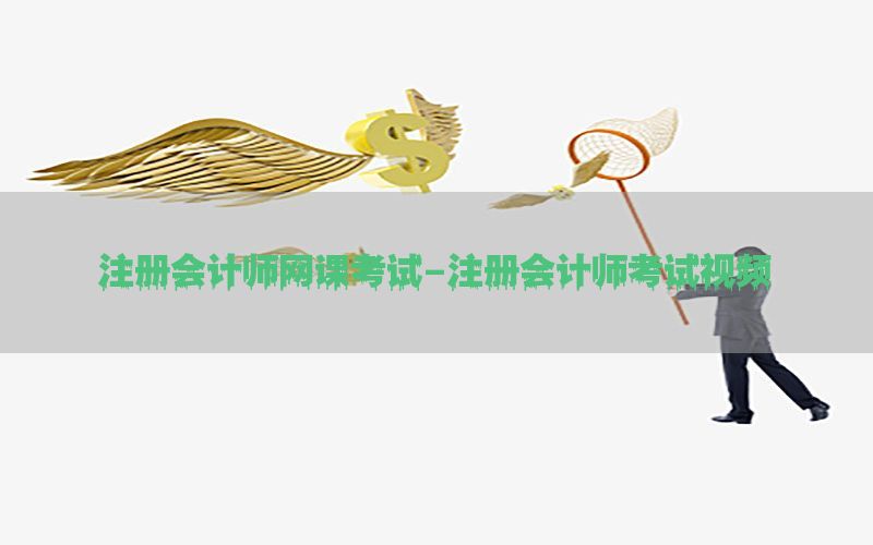 注册会计师网课考试-注册会计师考试视频