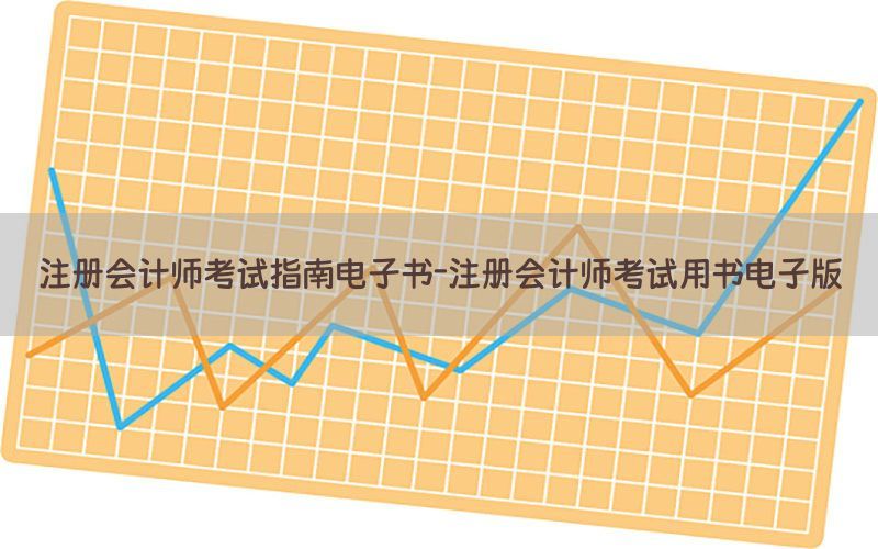 注册会计师考试指南电子书-注册会计师考试用书电子版