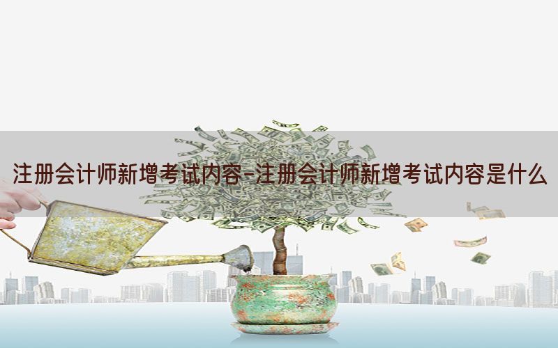 注册会计师新增考试内容-注册会计师新增考试内容是什么