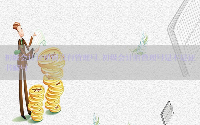 初级会计证里面没有管理号，初级会计的管理号是不是证书编号