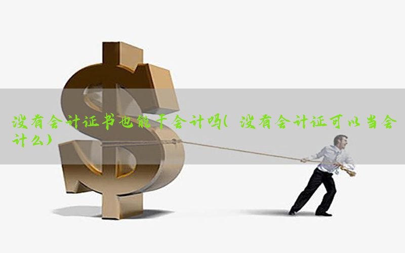 没有会计证书也能干会计吗（没有会计证可以当会计么）