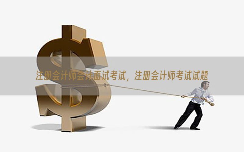注册会计师会计面试考试，注册会计师考试试题