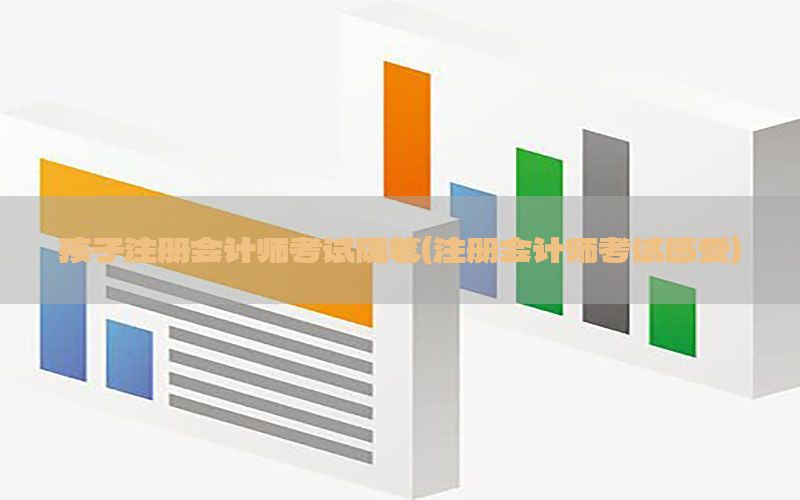 孩子注册会计师考试随笔（注册会计师考试感受）