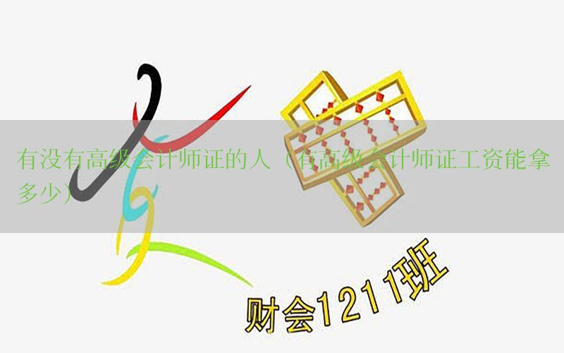 有没有高级会计师证的人（有高级会计师证工资能拿多少）