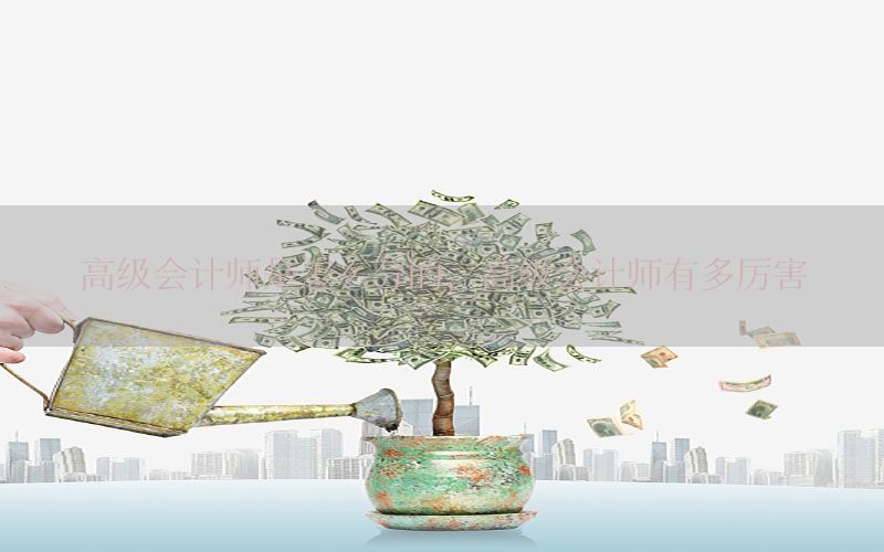 高级会计师是怎么分的，高级会计师有多厉害