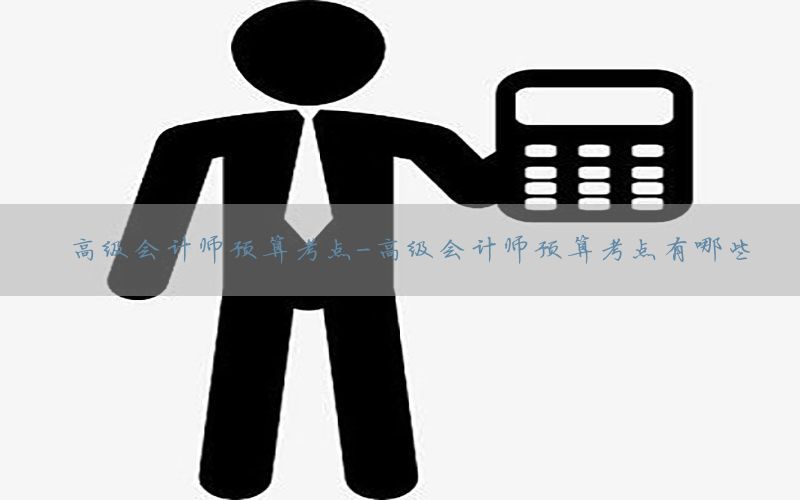 高级会计师预算考点-高级会计师预算考点有哪些