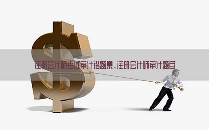 注册会计师考试审计错题集，注册会计师审计题目