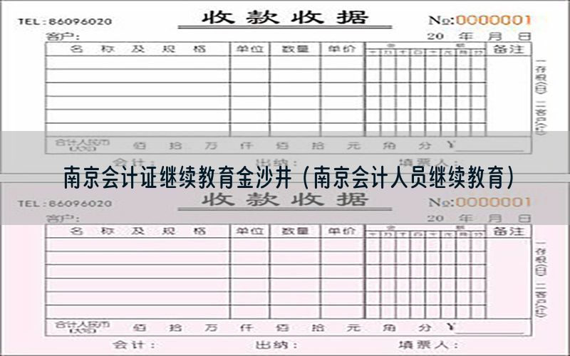 南京会计证继续教育金沙井（南京会计人员继续教育）