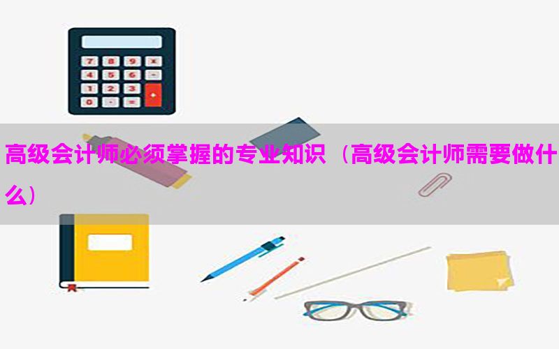 高级会计师必须掌握的专业知识（高级会计师需要做什么）