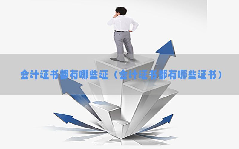 会计证书都有哪些证（会计证书都有哪些证书）