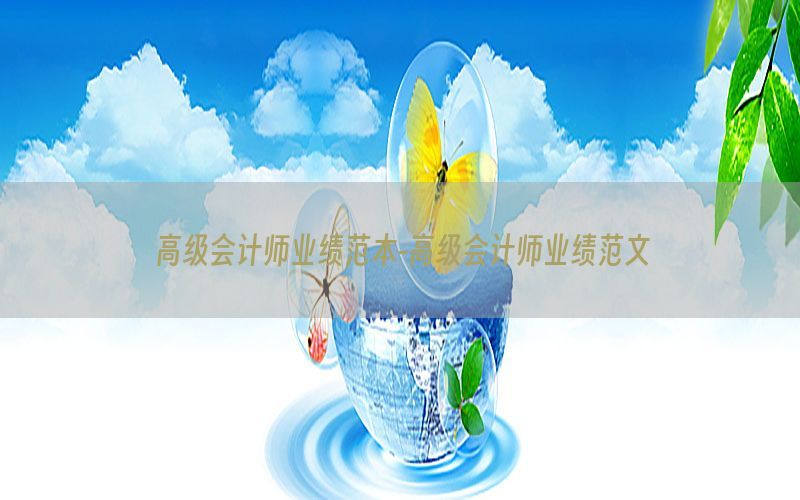 高级会计师业绩范本-高级会计师业绩范文
