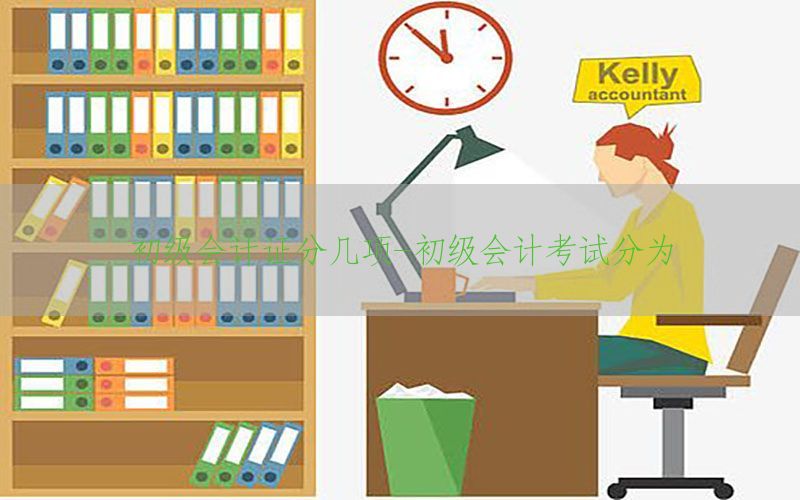 初级会计证分几项-初级会计考试分为