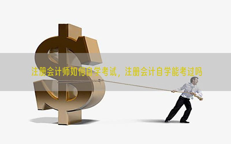 注册会计师如何自学考试，注册会计自学能考过吗