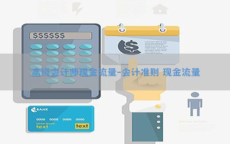 高级会计师现金流量-会计准则 现金流量