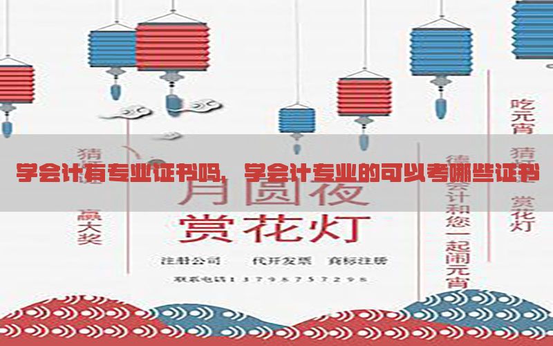 学会计有专业证书吗，学会计专业的可以考哪些证书