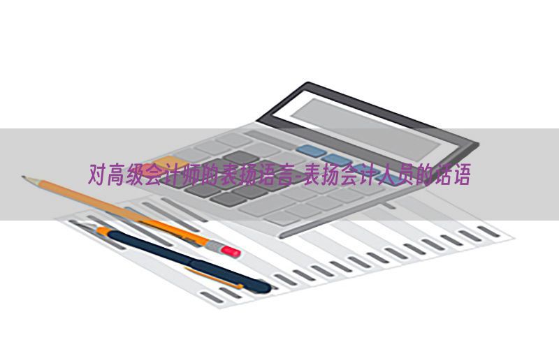 对高级会计师的表扬语言-表扬会计人员的话语