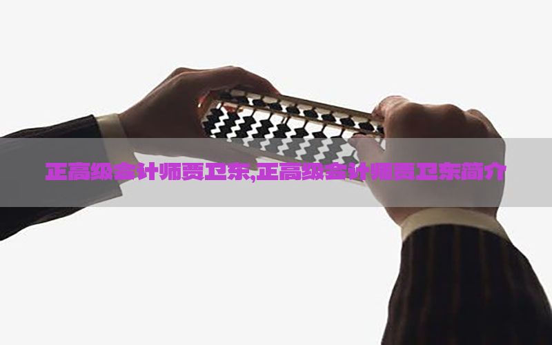 正高级会计师贾卫东，正高级会计师贾卫东简介
