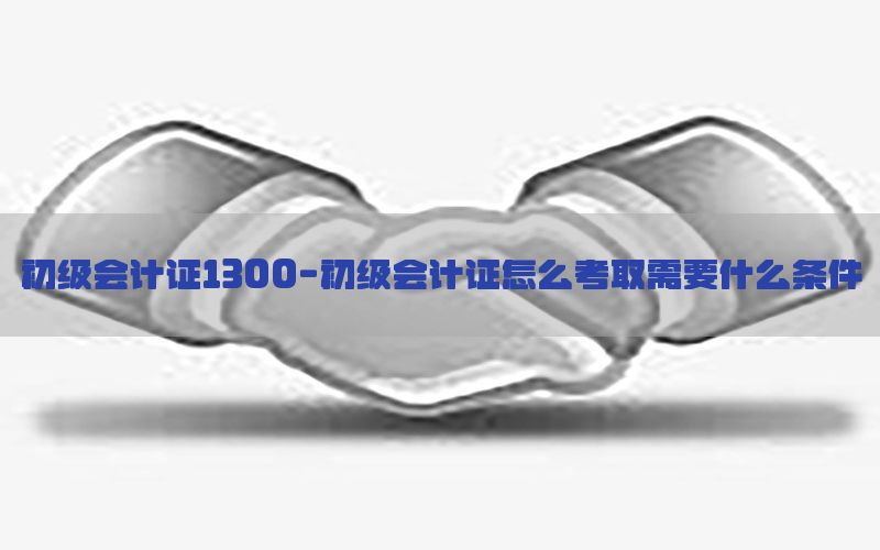 初级会计证1300-初级会计证怎么考取需要什么条件