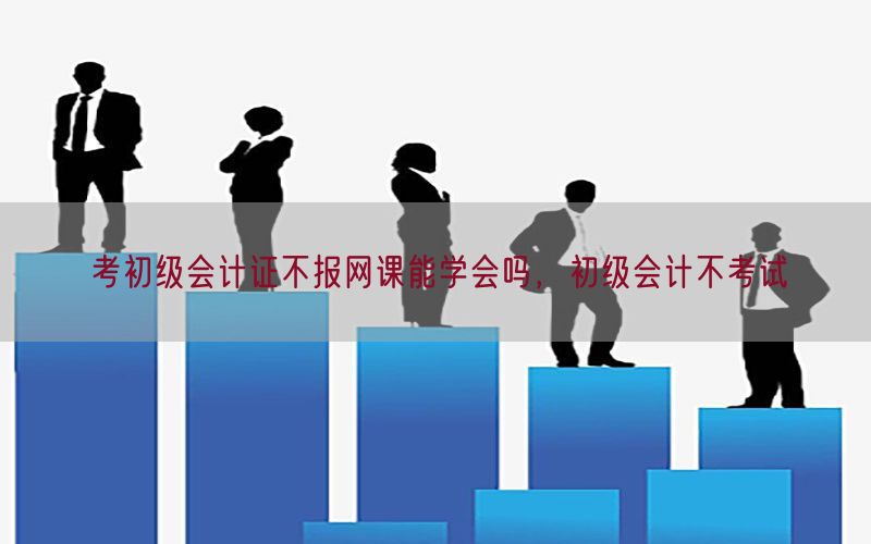 考初级会计证不报网课能学会吗，初级会计不考试