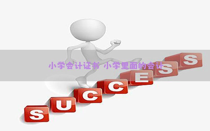 小学会计证书，小学里面的会计