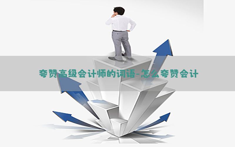 夸赞高级会计师的词语-怎么夸赞会计