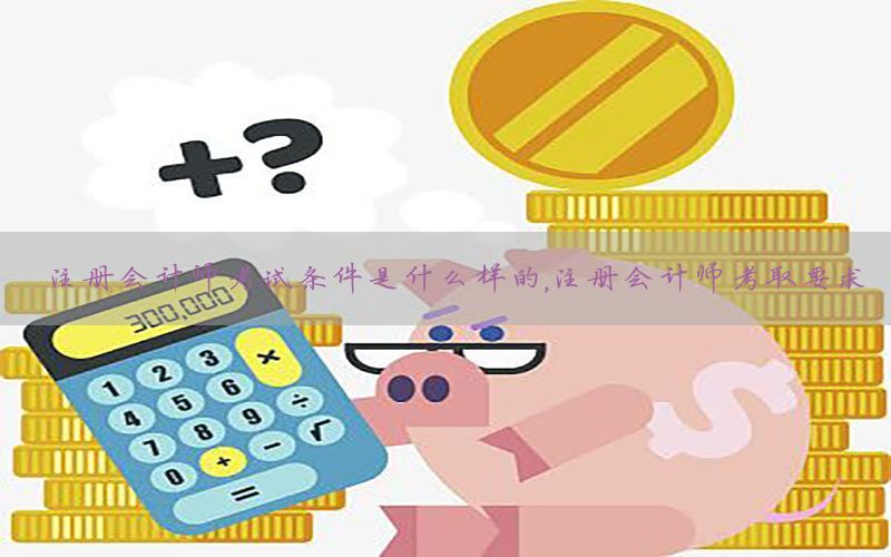 注册会计师考试条件是什么样的，注册会计师考取要求