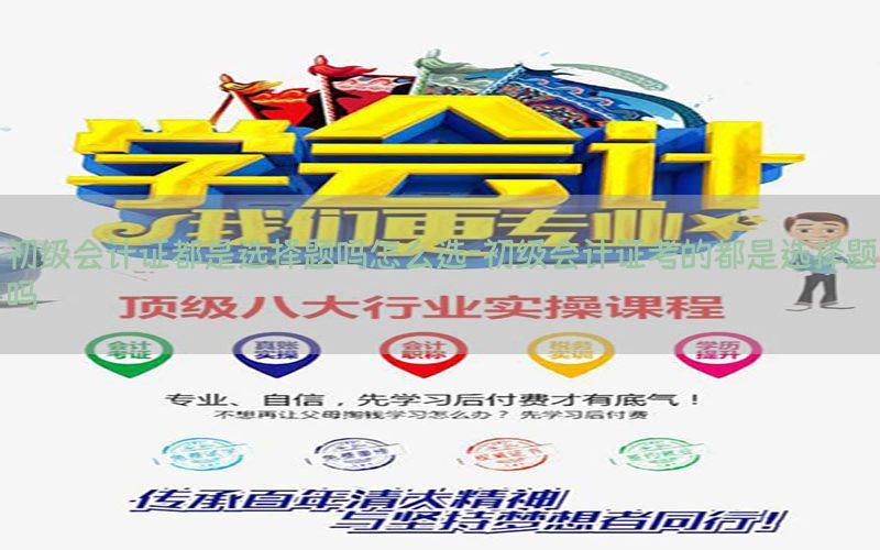 初级会计证都是选择题吗怎么选-初级会计证考的都是选择题吗