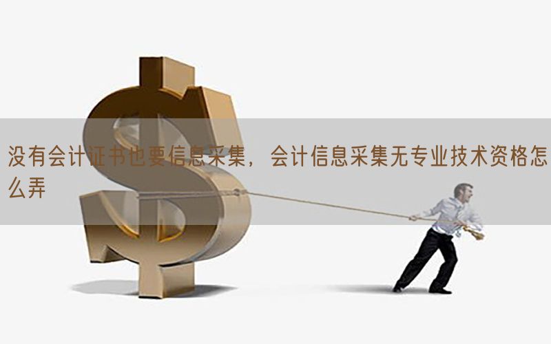 没有会计证书也要信息采集，会计信息采集无专业技术资格怎么弄