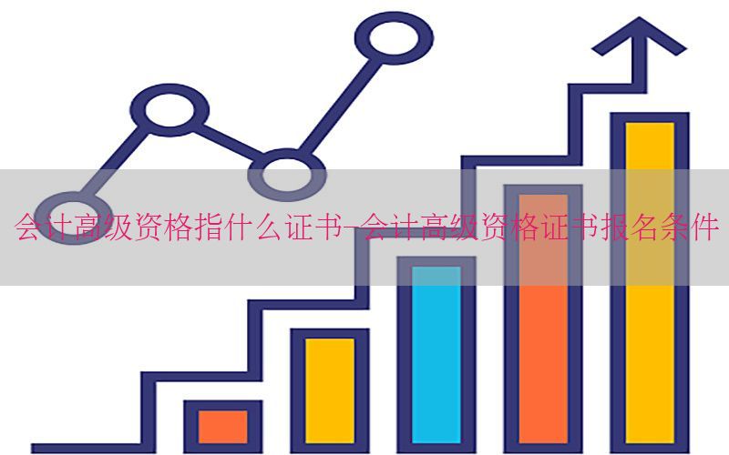会计高级资格指什么证书-会计高级资格证书报名条件