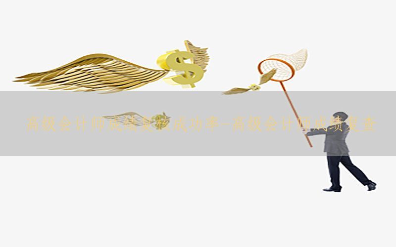高级会计师成绩复核成功率-高级会计师成绩复查