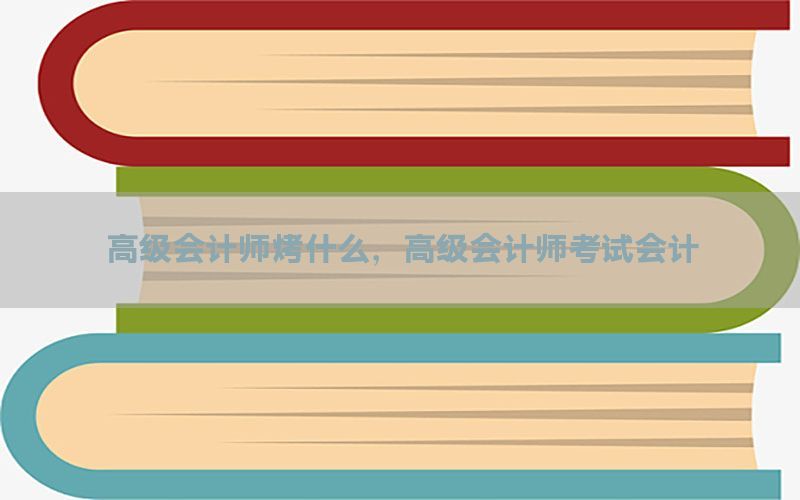 高级会计师烤什么，高级会计师考试会计