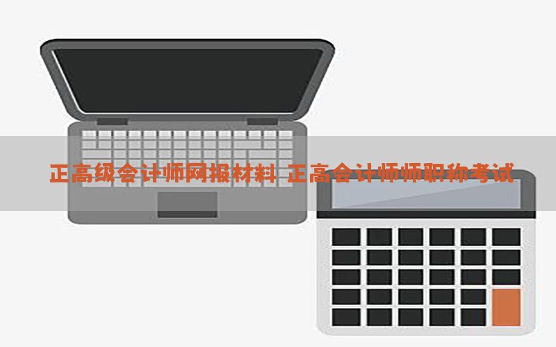 正高级会计师网报材料，正高会计师师职称考试