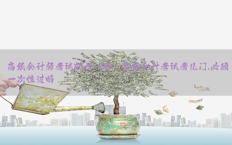 高级会计师考试就考一科-高级会计考试考几门,必须一次性过吗