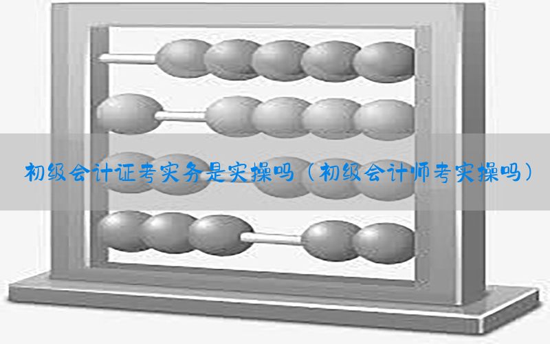 初级会计证考实务是实操吗（初级会计师考实操吗）
