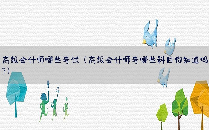 高级会计师哪些考试（高级会计师考哪些科目你知道吗?）