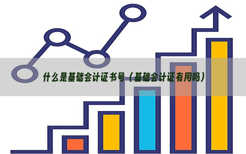 什么是基础会计证书号（基础会计证有用吗）