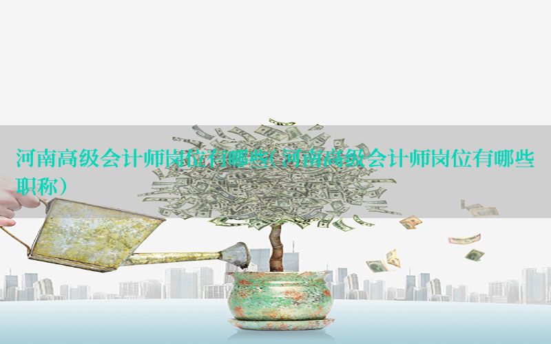河南高级会计师岗位有哪些（河南高级会计师岗位有哪些职称）