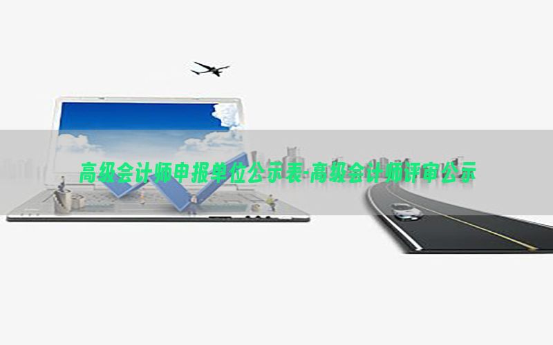高级会计师申报单位公示表-高级会计师评审公示
